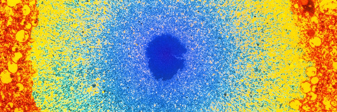 Alessandro Mechelli, MD banner