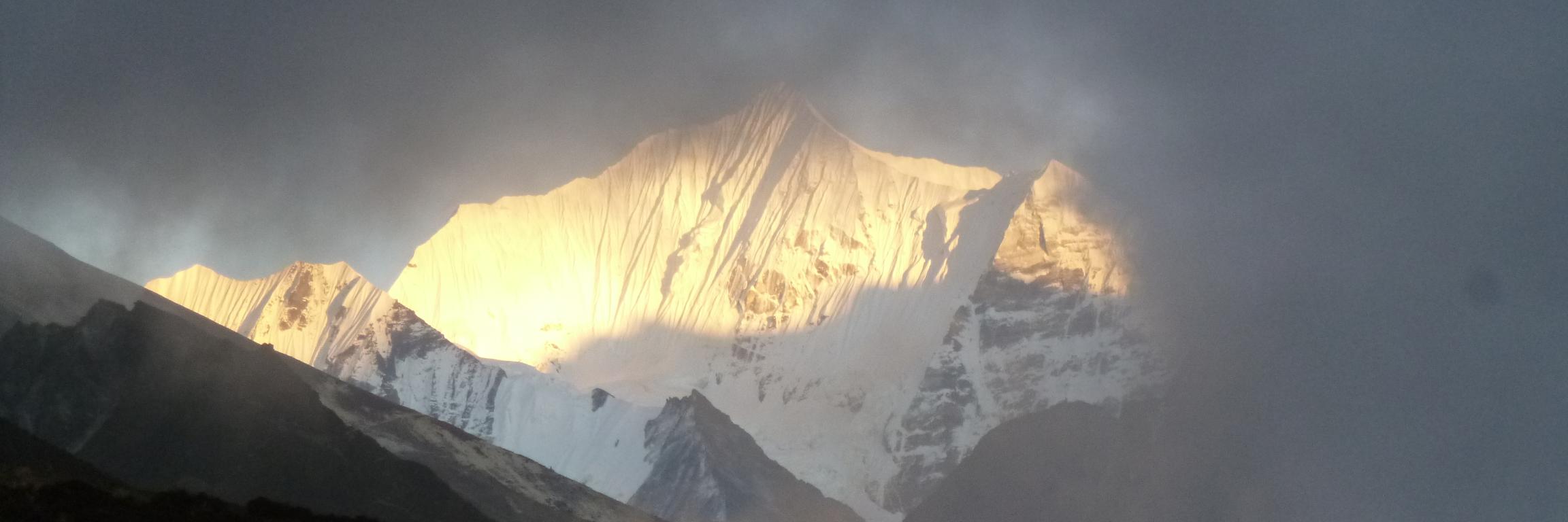 Oriol Toro Camprodon banner