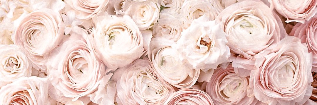 Dominique_Luz's profile banner image