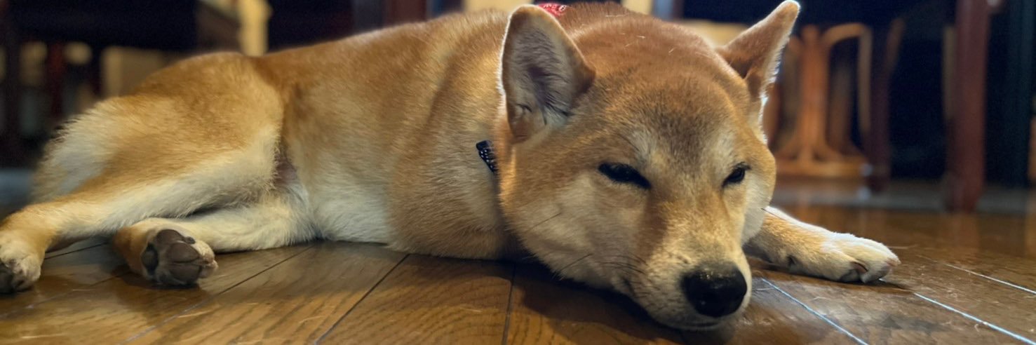 header image