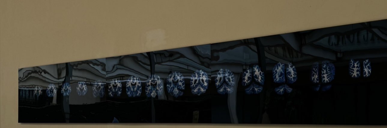 irenegoropeza's profile banner image