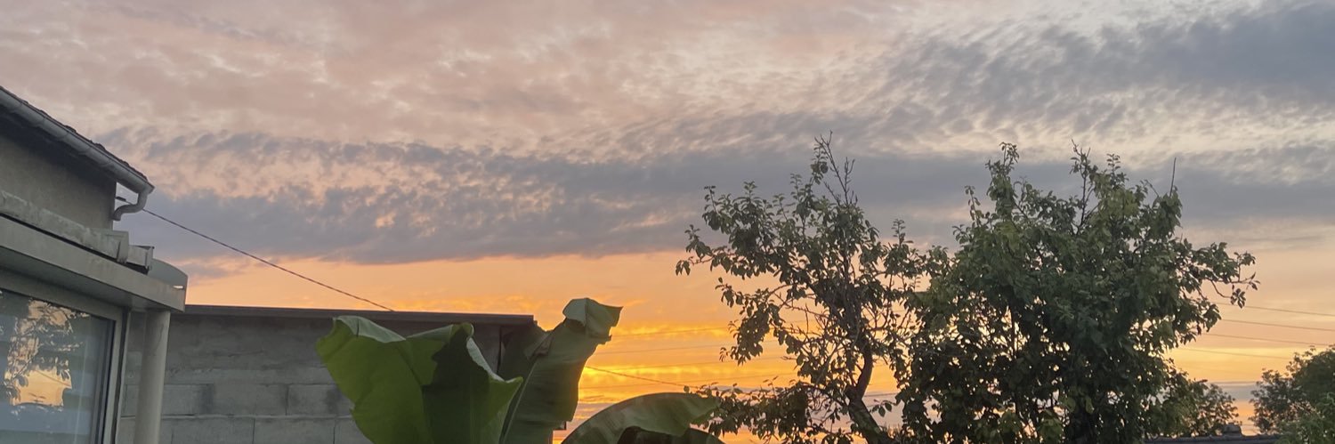 comnserc's profile banner image