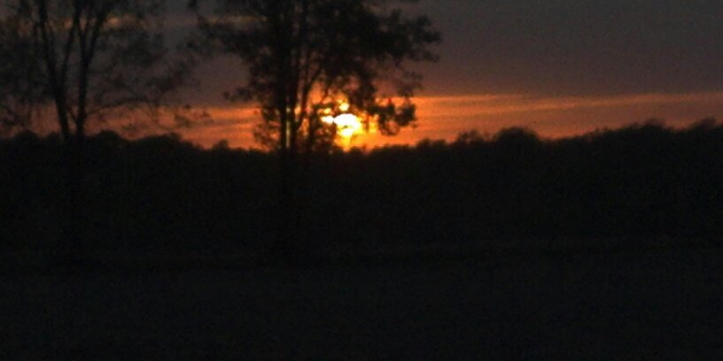 David Whitlow banner