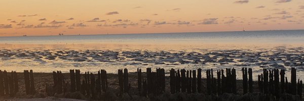 reiniervanloo Profile Banner