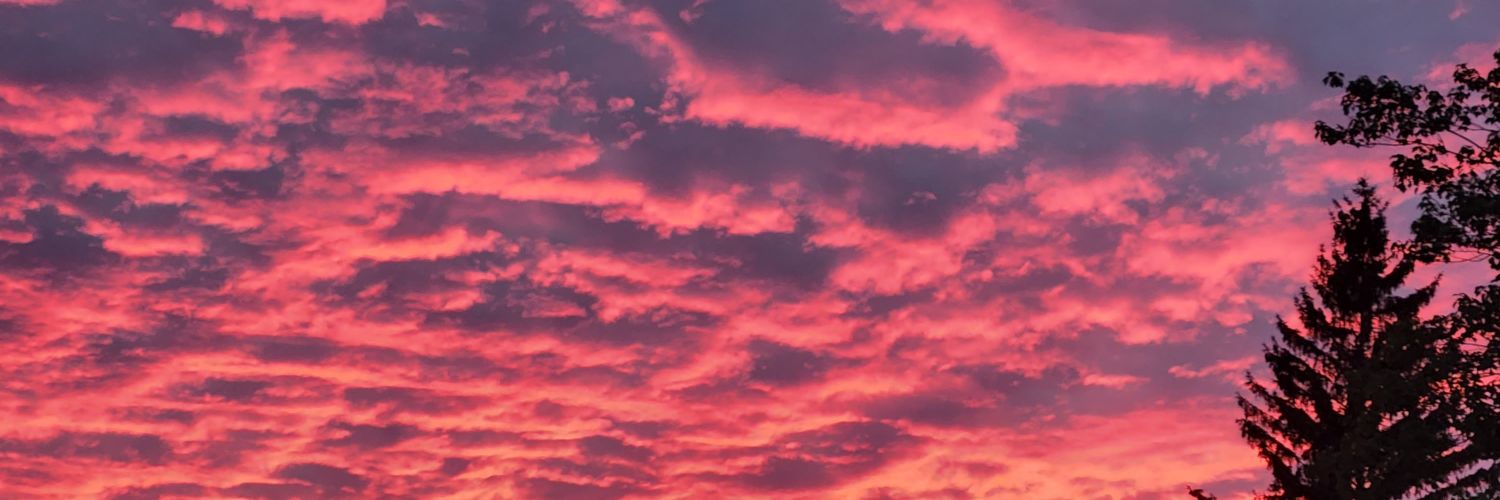 Nobody_0wens's profile banner image