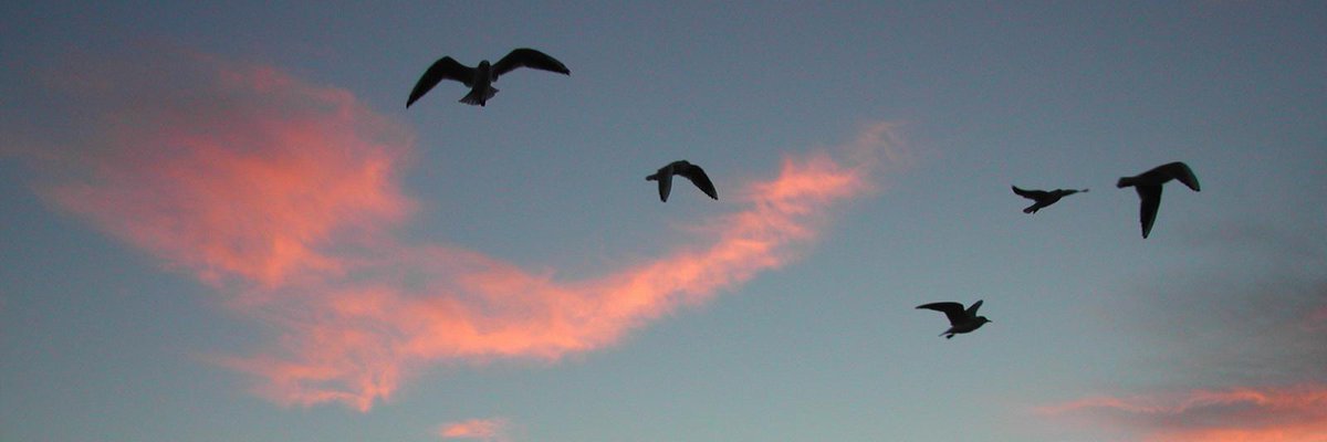 ChrisSlade12's profile banner image