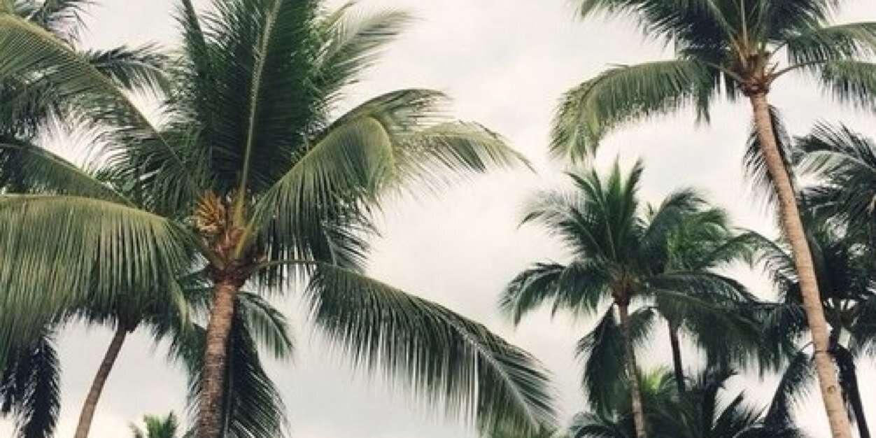 romy_mink's profile banner image
