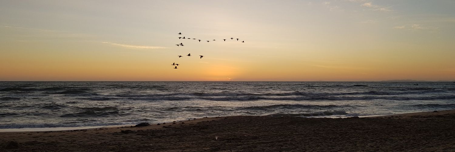 feliperod01's profile banner image