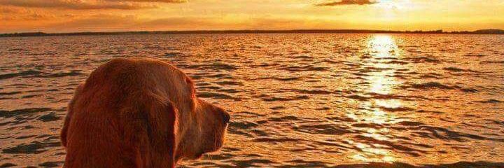 natha0106's profile banner image