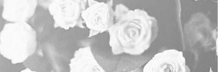 lovingASA's profile banner image