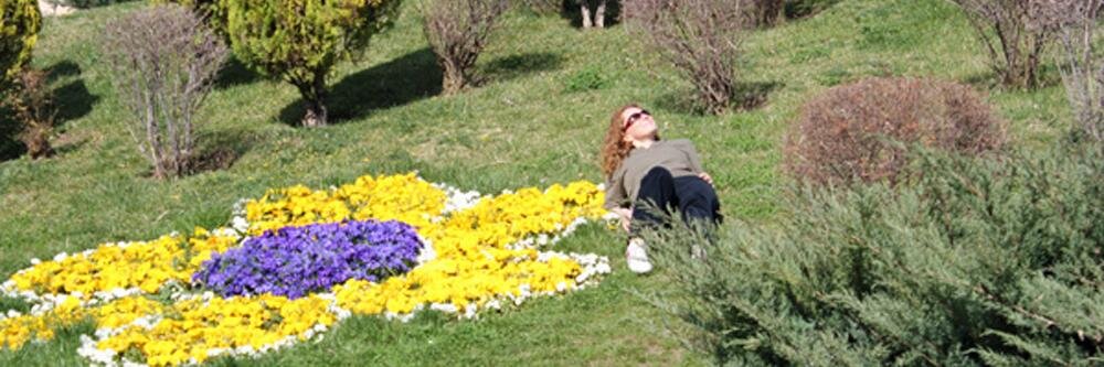 ykaptanbas's profile banner image