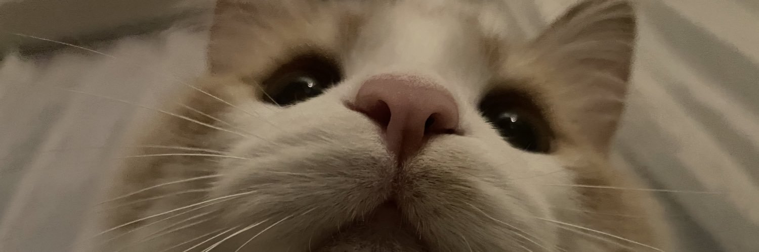 serikun2's profile banner image