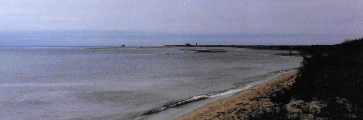 PMcToal's profile banner image