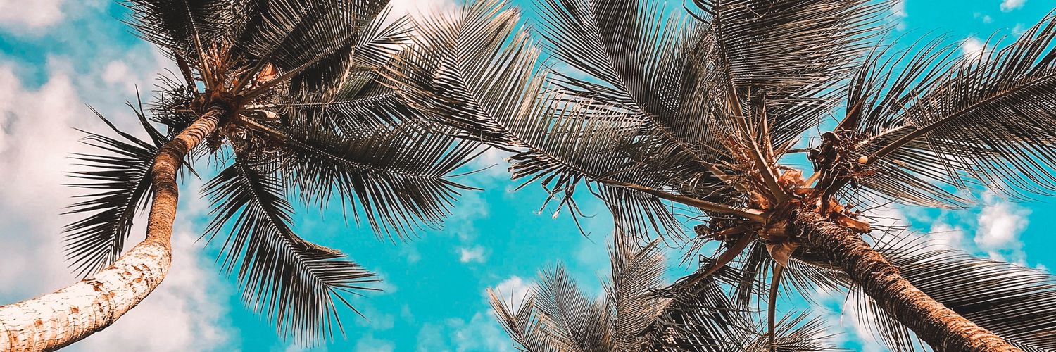 thiagoo_ofc's profile banner image