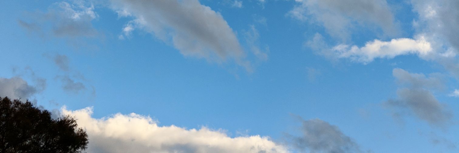 TAsh_Because's profile banner image