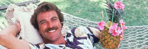 Andy H. banner
