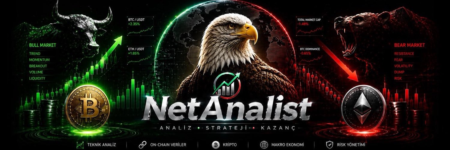 NetAnalist's profile banner image
