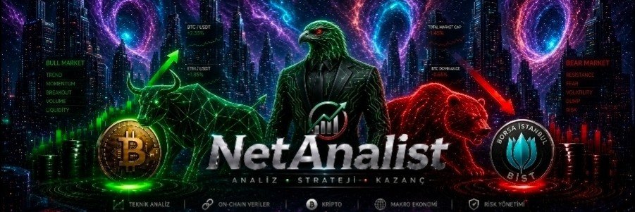 NetAnalist's profile banner image