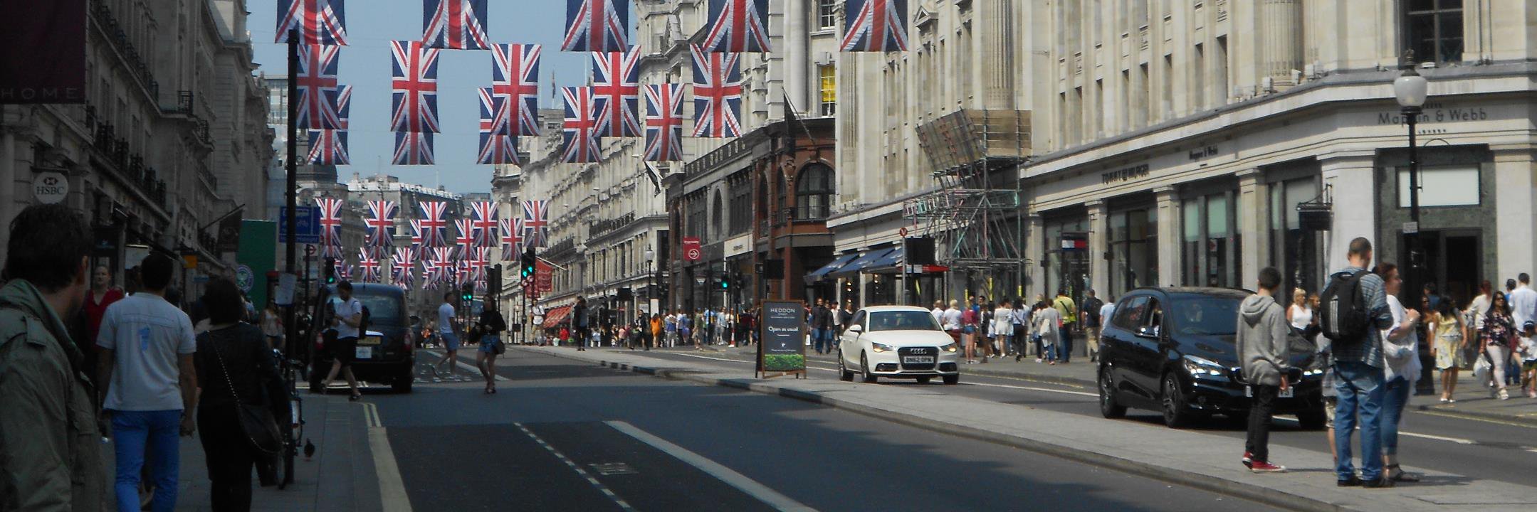 David Markov banner