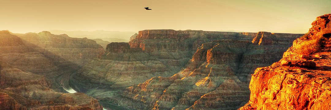 profadaniefdq's profile banner image