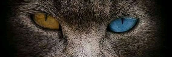 haroonm608's profile banner image