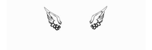 luvmyraulx's profile banner image
