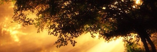 revksjacobs's profile banner image