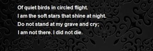 writer99steps's profile banner image