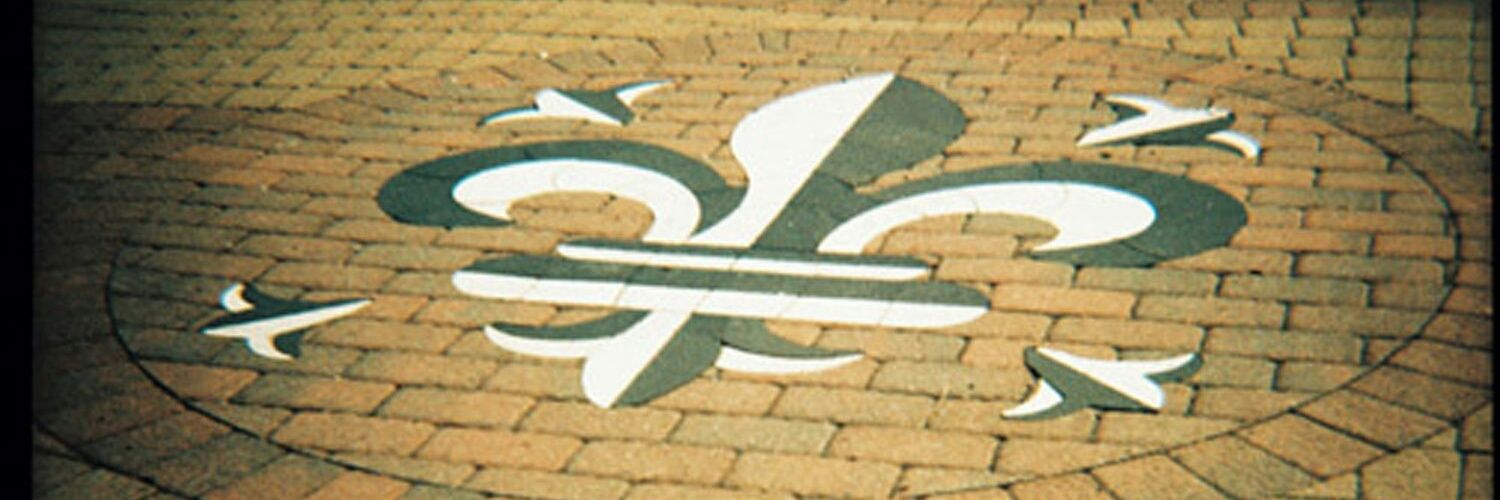 wisechickart's profile banner image