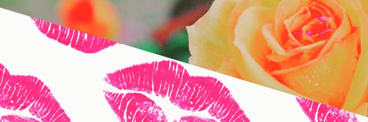 mqqcas's profile banner image