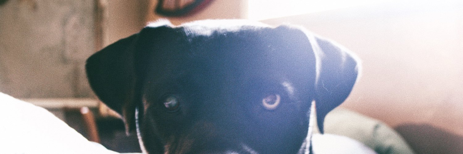abbyblay_'s profile banner image