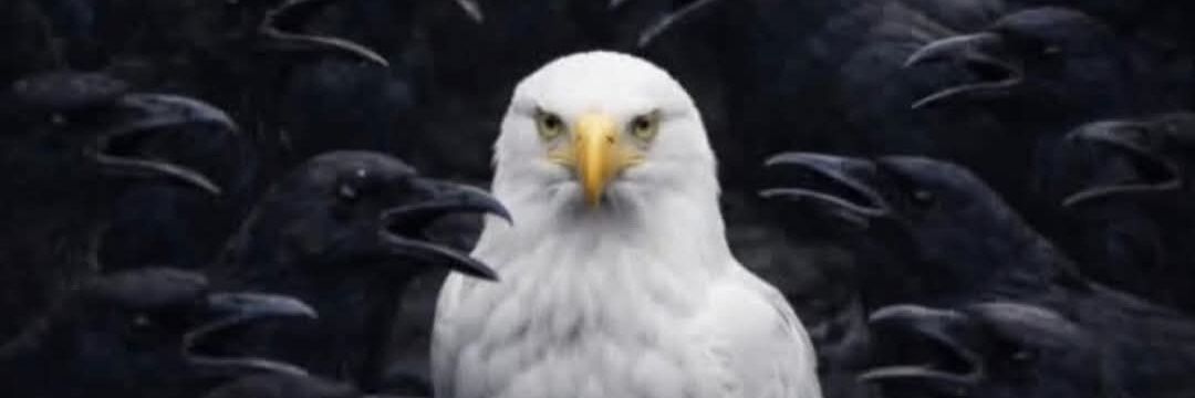 FredJayy's profile banner image