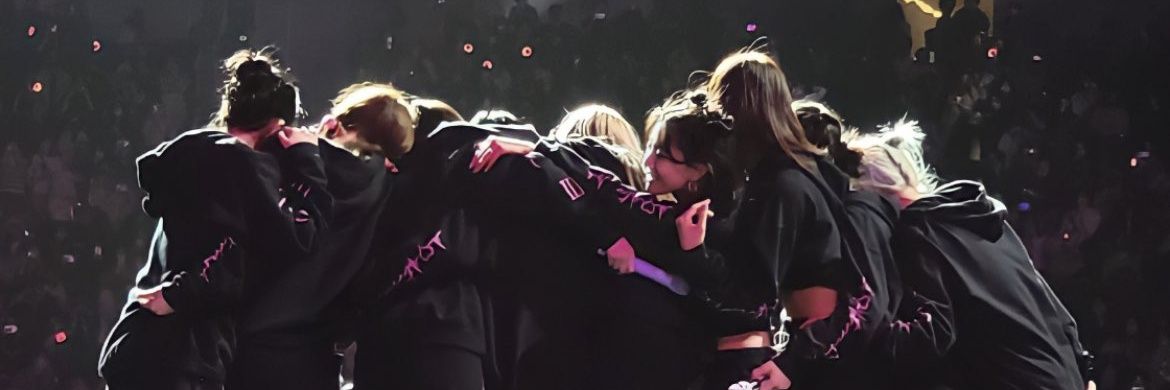 Ana Laura Costa Cabral banner