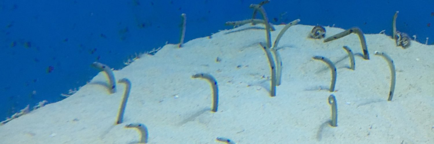 hsmt763's profile banner image