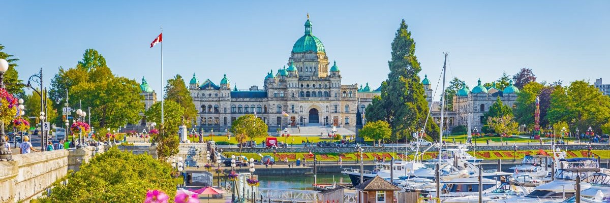 Addiction Specialist | Sober Coach banner