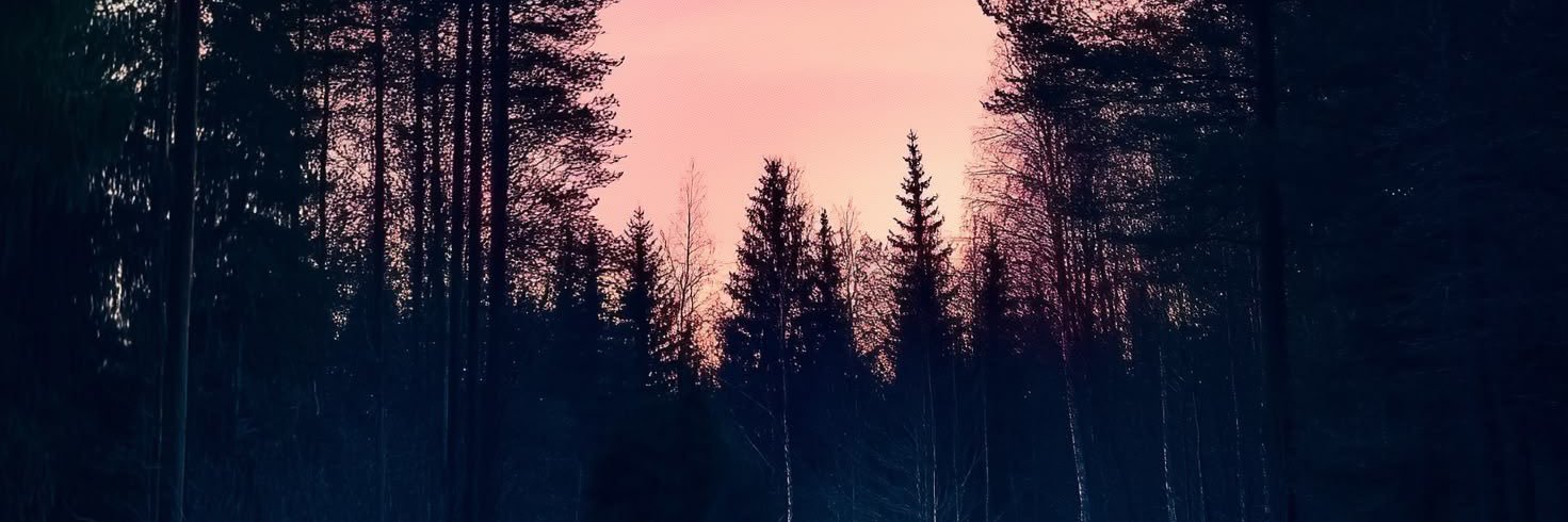 EmkayXV's profile banner image