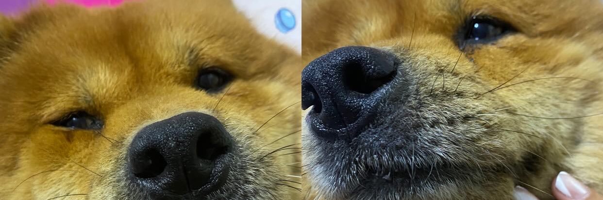 VitoriaCapeto's profile banner image