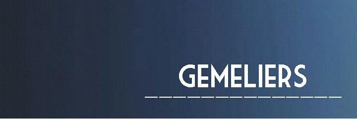 geemelier16's profile banner image