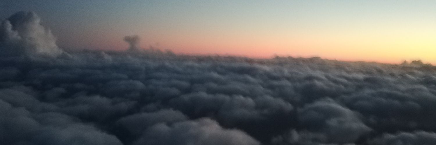 Alberto Frigerio banner