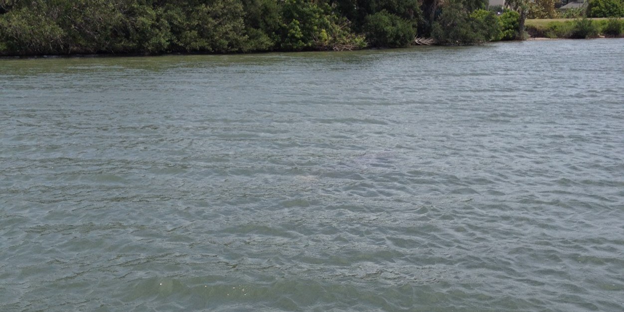 NSBfishing's profile banner image