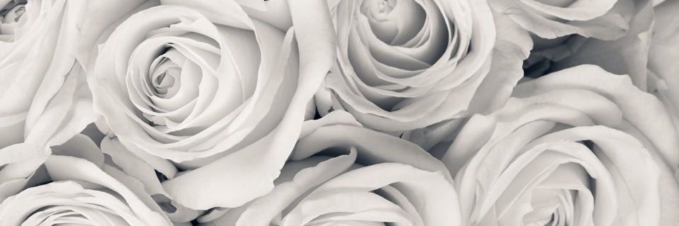 vanessagle's profile banner image