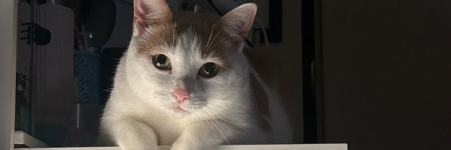 mackenzie_98's profile banner image