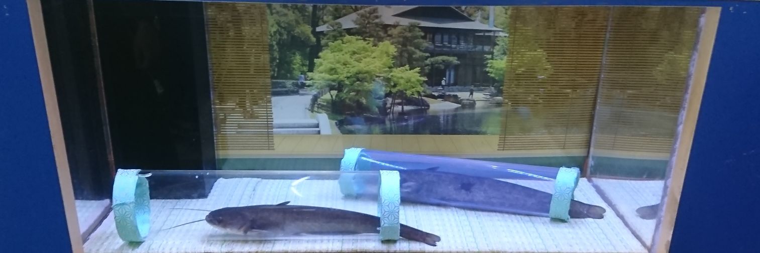 S_Ryui's profile banner image