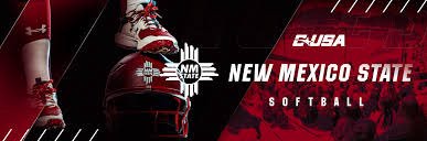 Sean Mac Williams banner