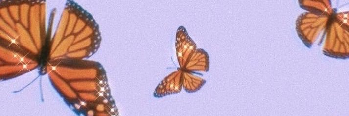 P_mckee10's profile banner image