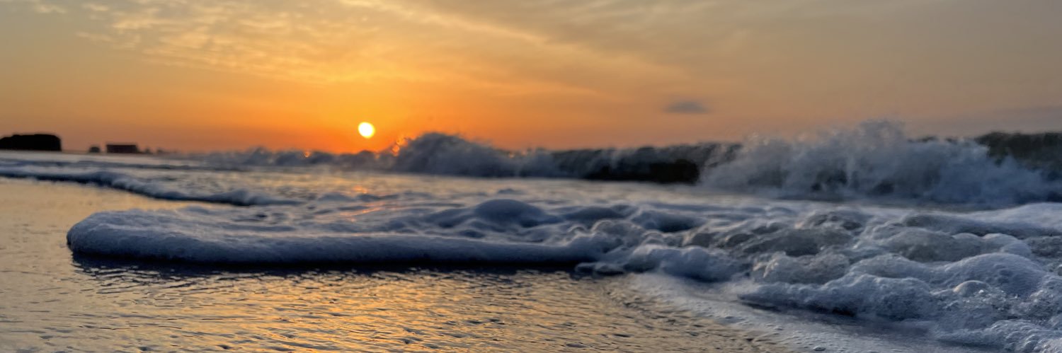 Skyla Davidson banner