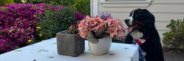 EricLindquist Profile Banner
