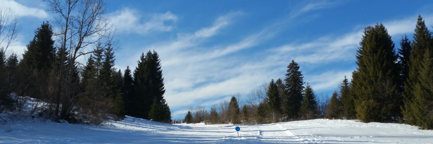 lessalins's profile banner image
