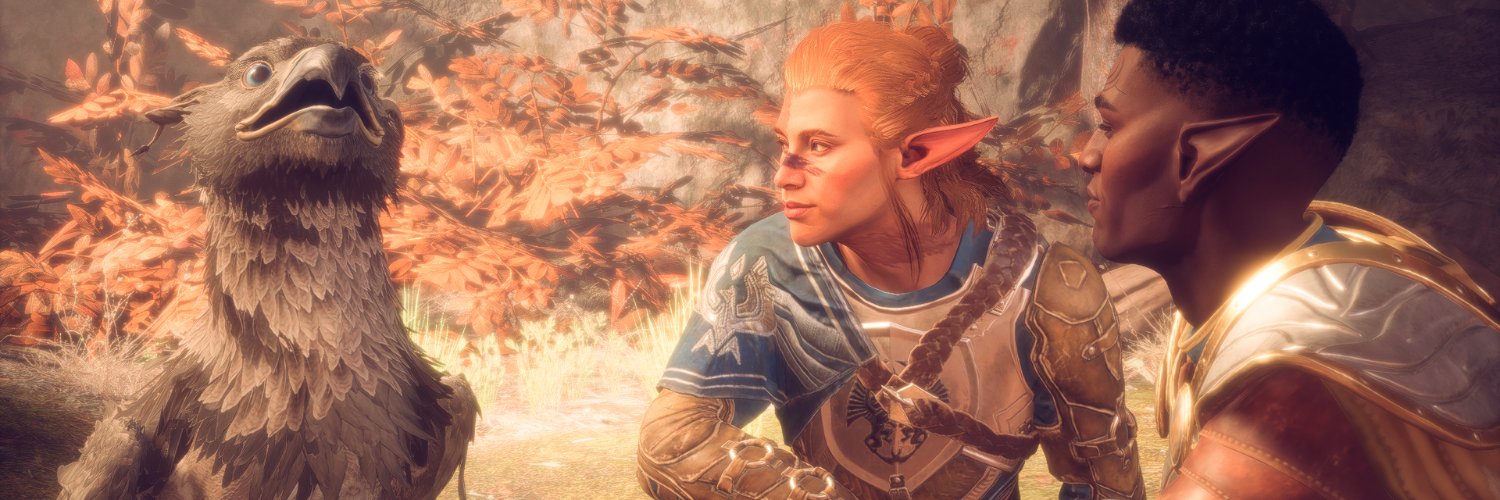 dramaticbanjo's profile banner image