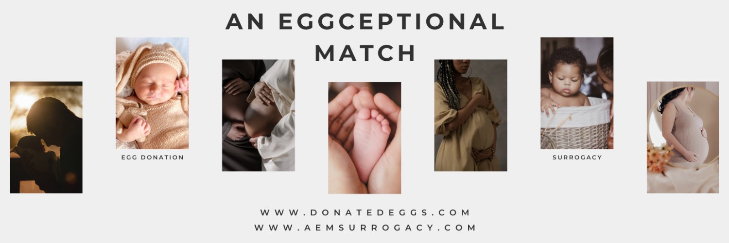 AnEggMatch's profile banner image